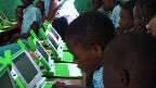 Rows of green and white wonder